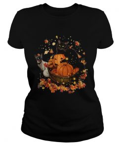 Cats Halloween Autumn  Classic Ladies