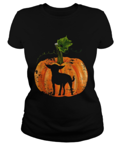 Chihuahua Inside Pumpkin Halloween  Classic Ladies