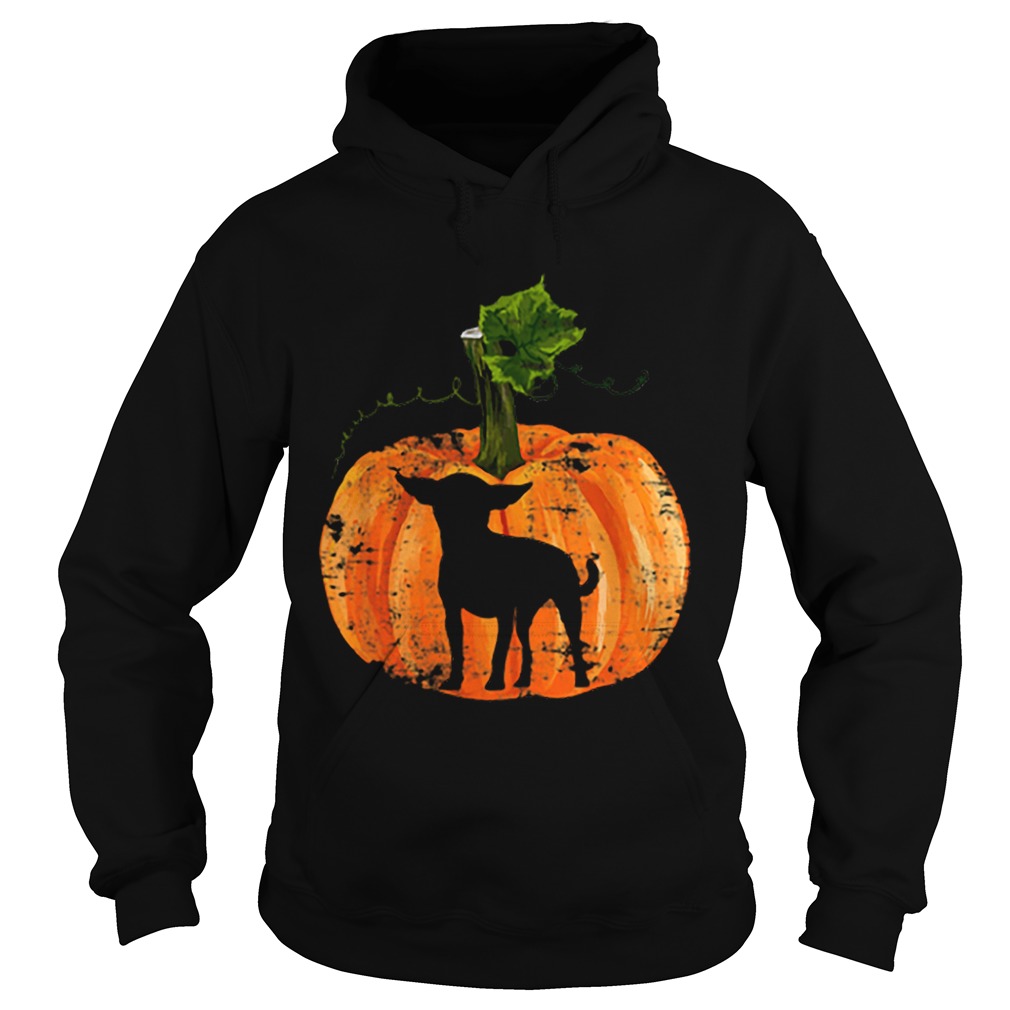 Chihuahua Inside Pumpkin Halloween Hoodie