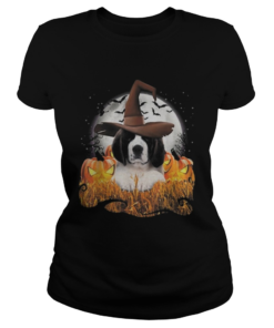 Cute Saint Bernard dog witch on Halloween pumpkin  Classic Ladies