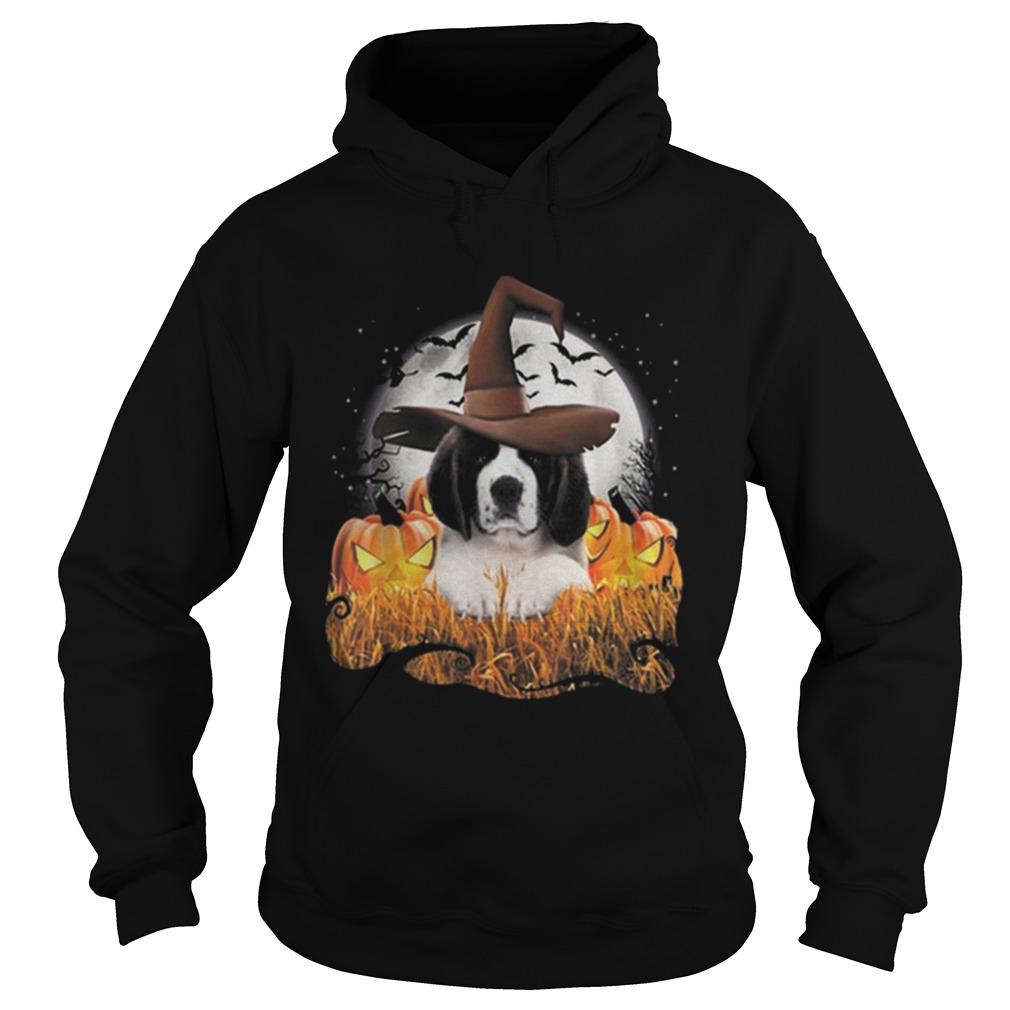 Cute Saint Bernard dog witch on Halloween pumpkin Hoodie