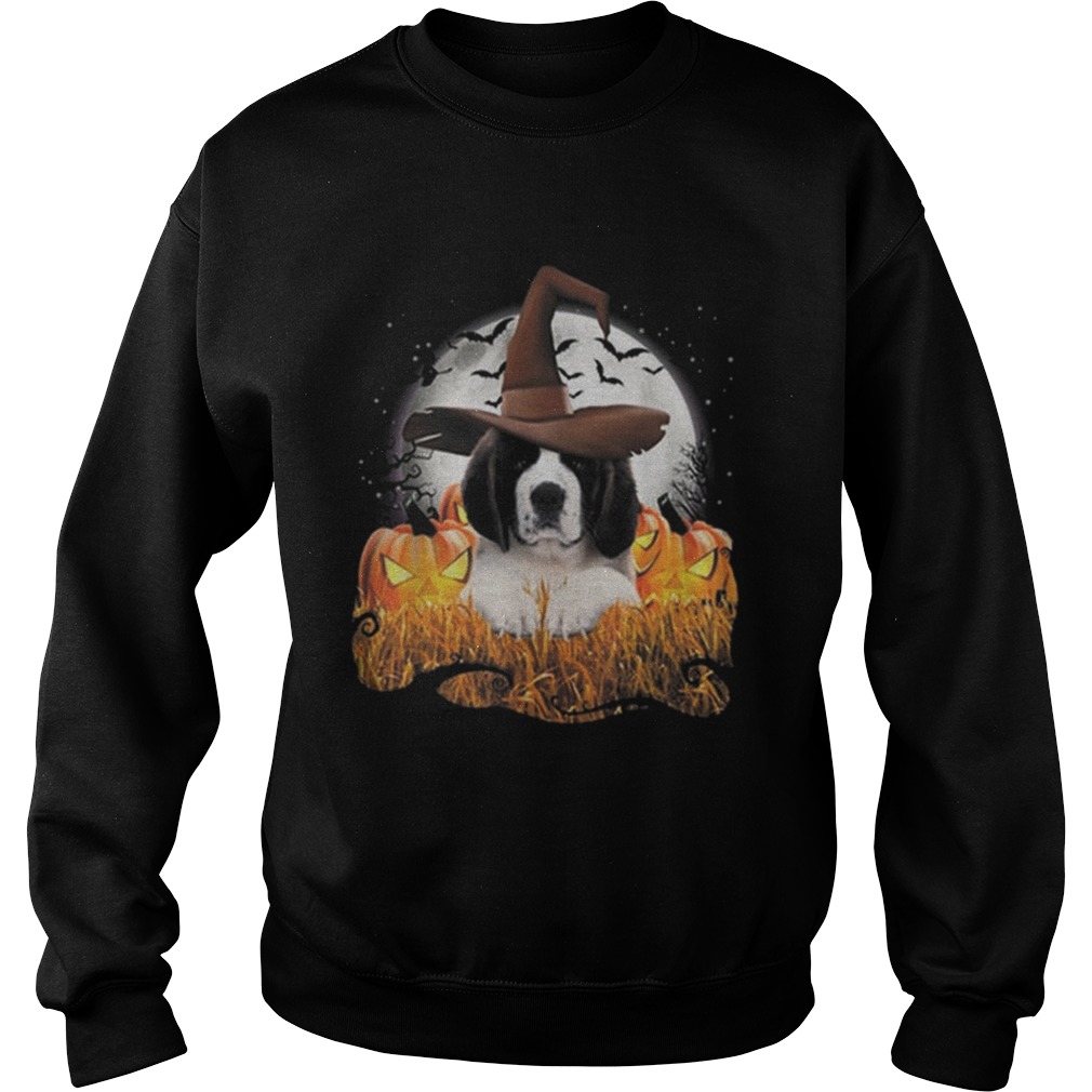 Cute Saint Bernard dog witch on Halloween pumpkin Sweatshirt