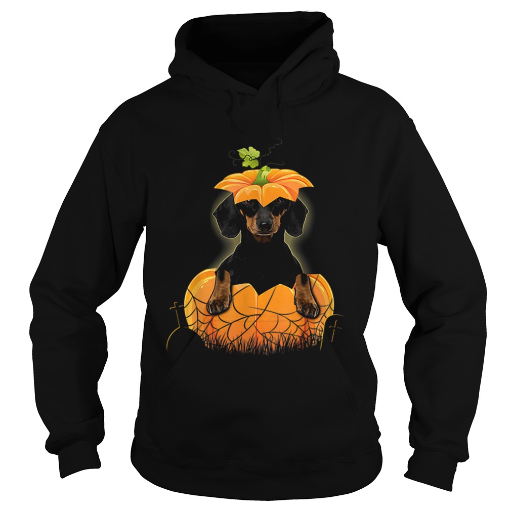 Dachshund Pumpkin Halloween For Men Woman Hoodie