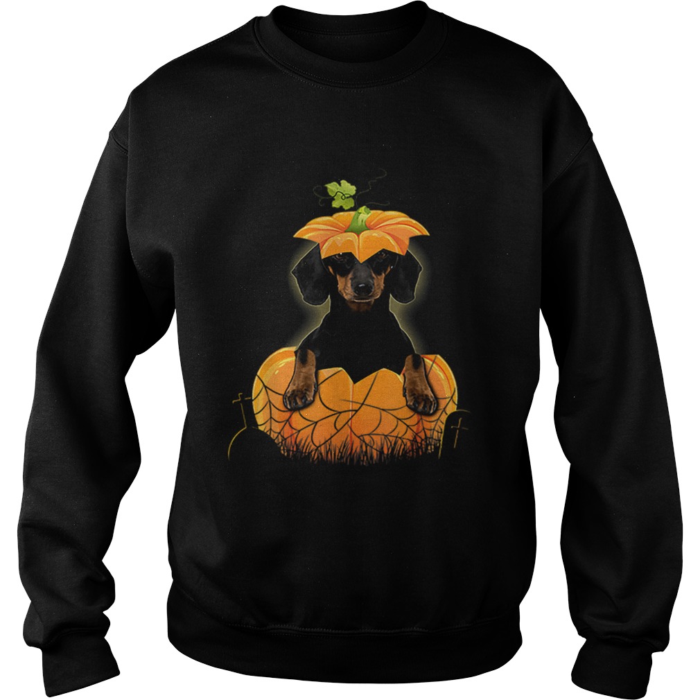 Dachshund Pumpkin Halloween For Men Woman Sweatshirt