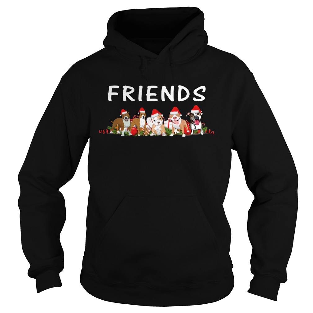 Dogs Christmas Friends Hoodie