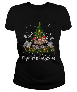 Friends Harry Potter Hermione Ron Christmas  Classic Ladies