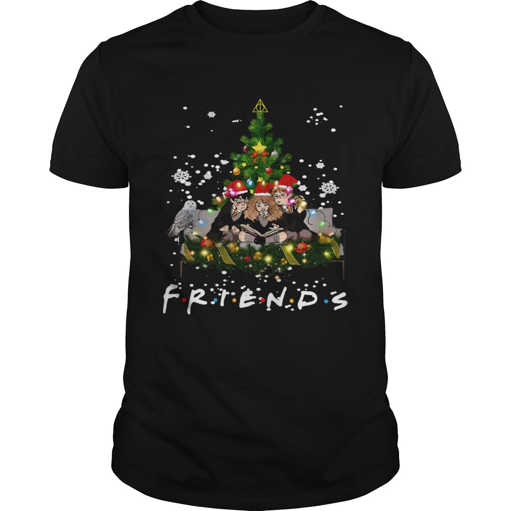 Friends Harry Potter Hermione Ron Christmas shirt