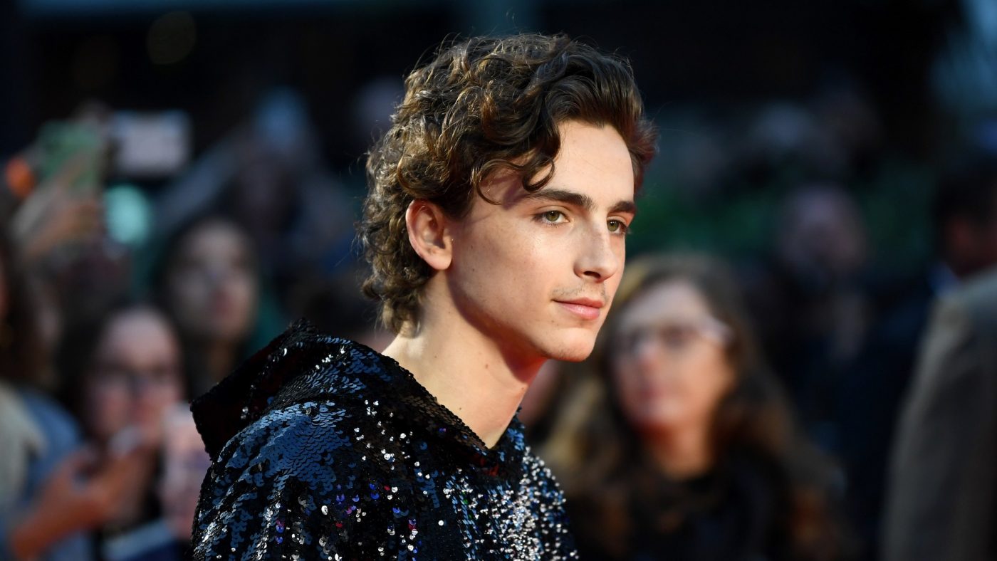 Timothée Chalamet Shakes up the Red Carpet with a High-Fashion Hoodie