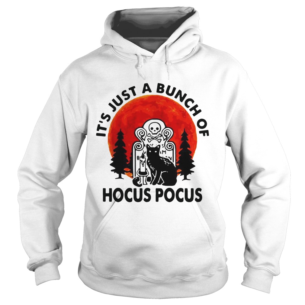 Halloween Black cat its just a bunch of Hocus Pocus Hoodie