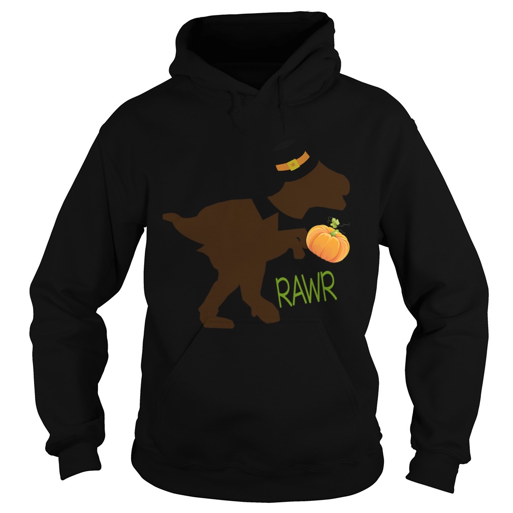 Halloween Dinosaur Rawr Cute Trex Lover TShirt Hoodie