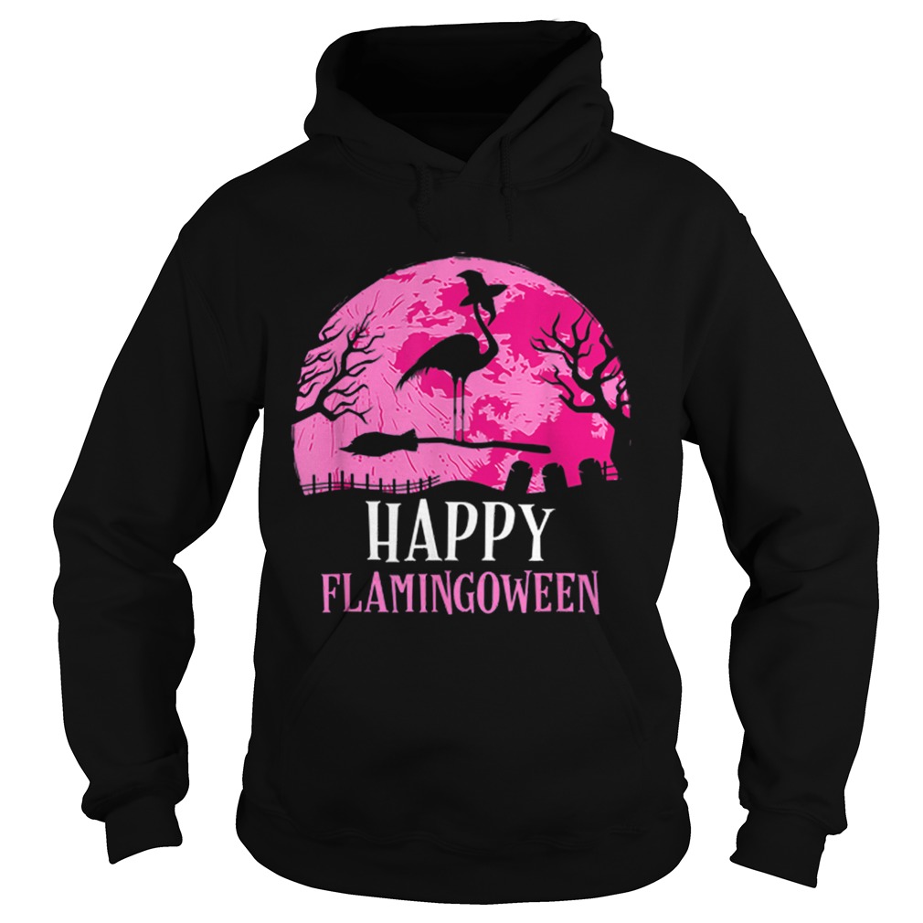 Halloween Flamingo Witch Happy Flamingoween Gift Hoodie