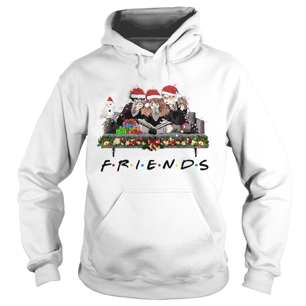 Harry Potter Friends TV Show Christmas Hoodie