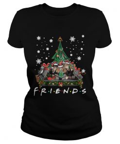 Harry Potter Hermione And Ron Weasley Christmas Tree style Friends tv show  Classic Ladies