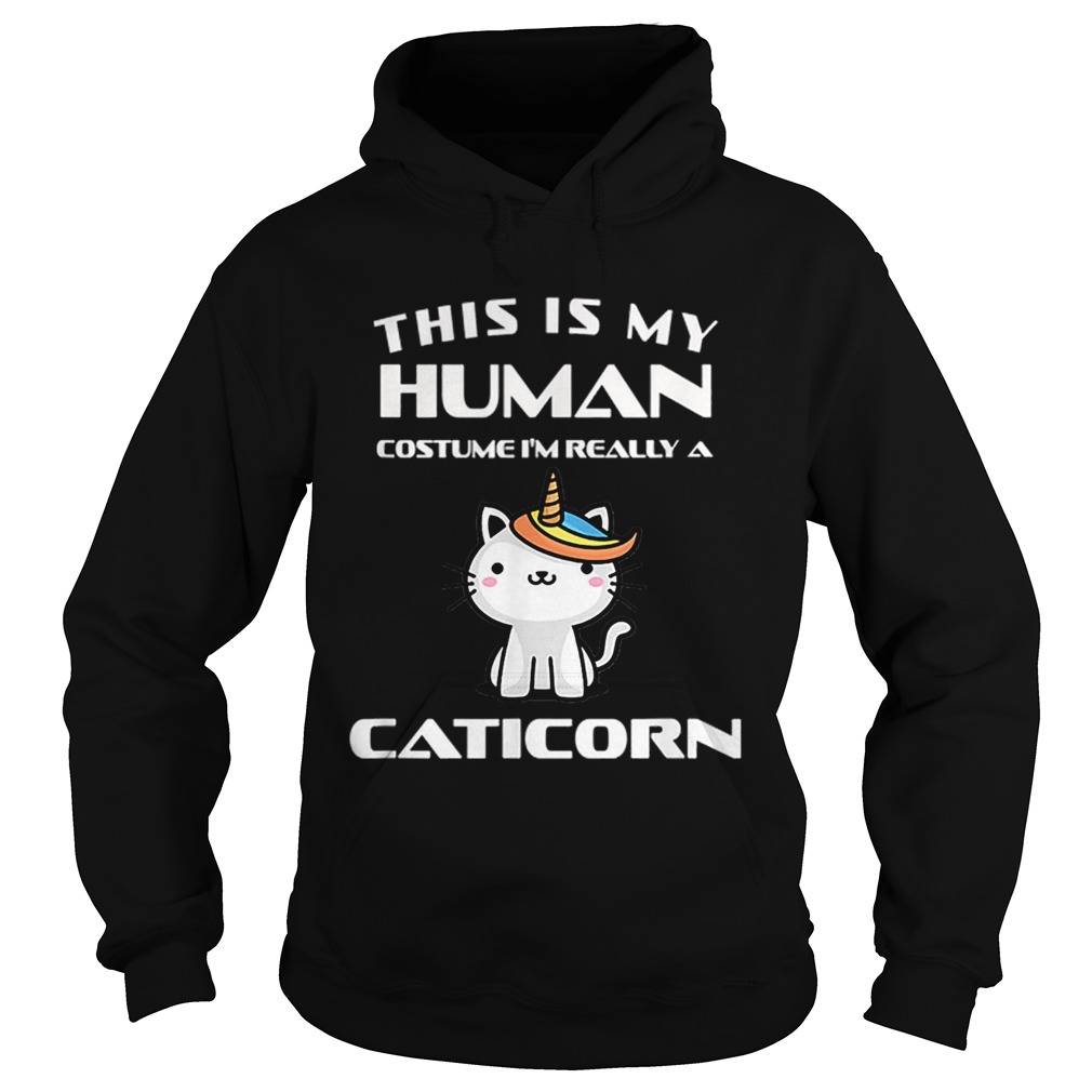 Human Halloween Caticorn Costume Cat Fun Gift Hoodie