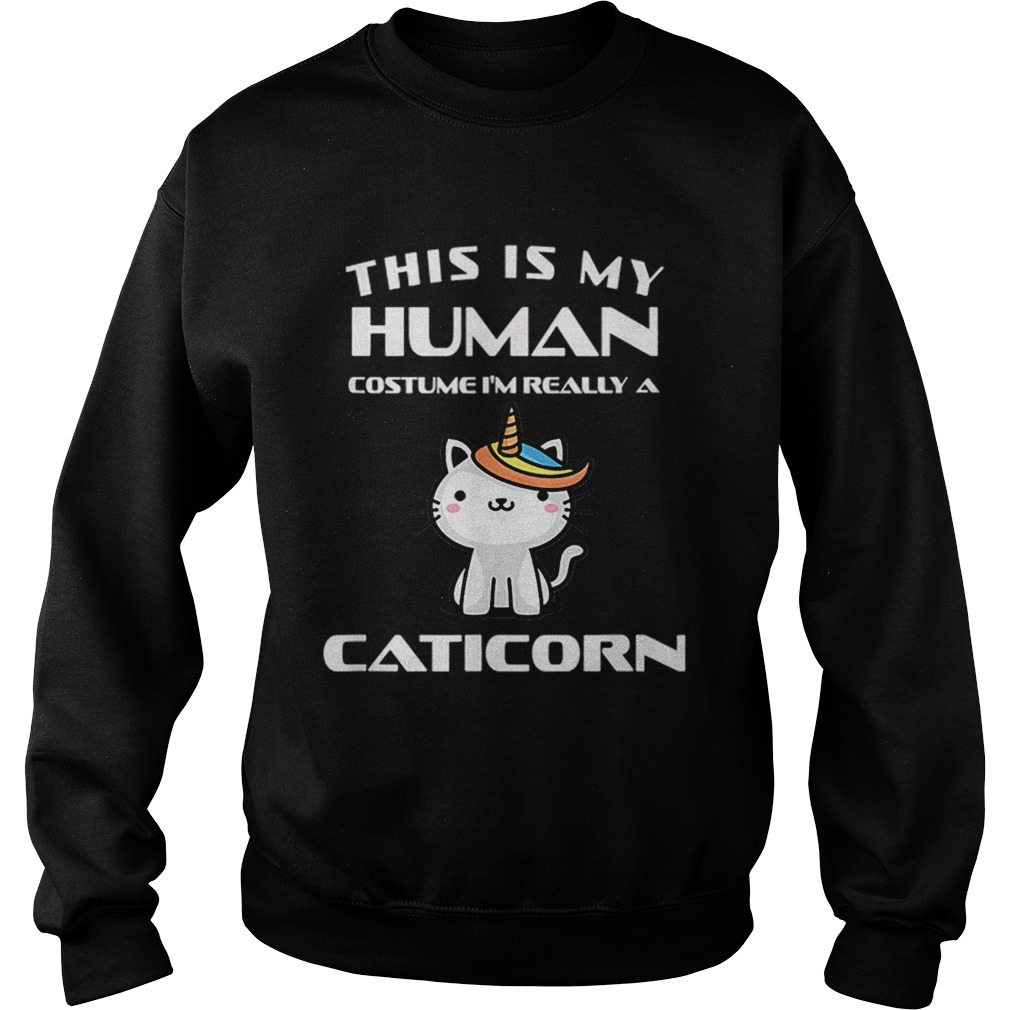 Human Halloween Caticorn Costume Cat Fun Gift Sweatshirt