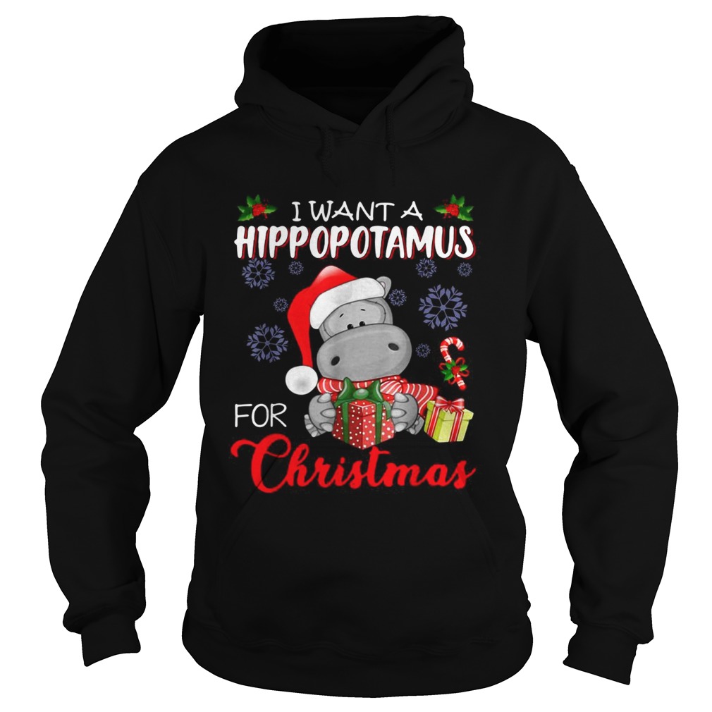 I want a Hippopotamus for Christmas Hoodie