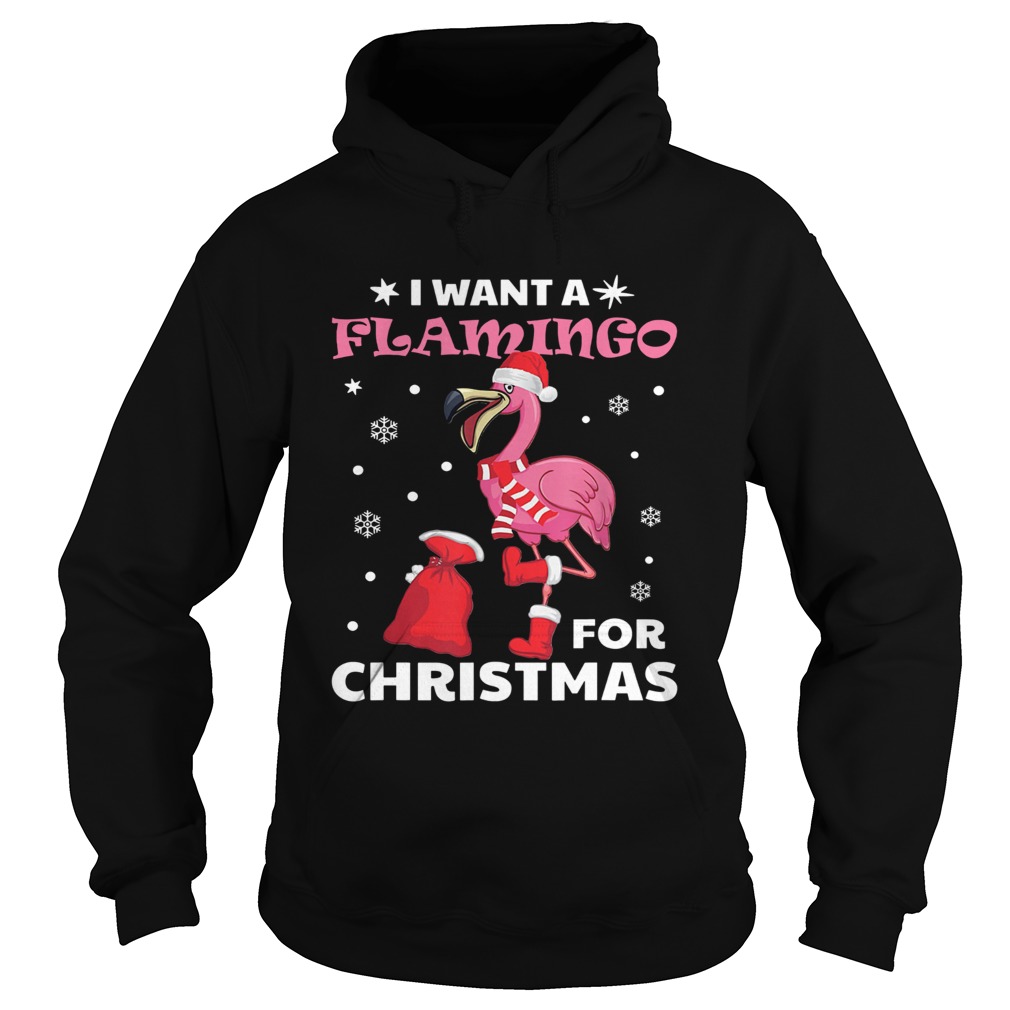 I want a flamingo for Christmas Hoodie