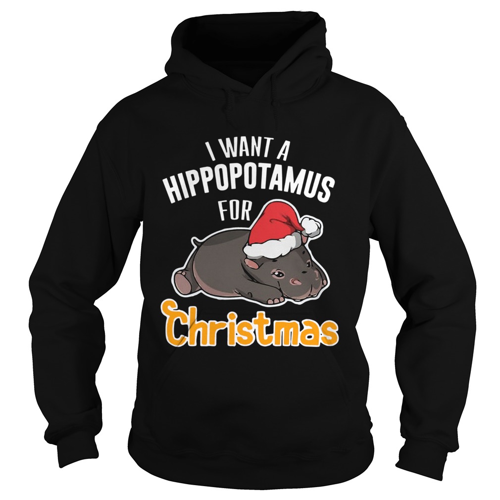 I want a hippopotamus for Christmas Hoodie