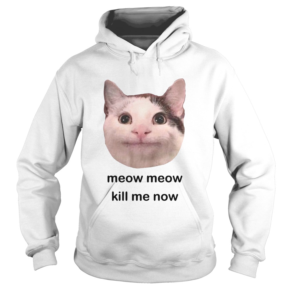 Meow Meow kill me now Hoodie