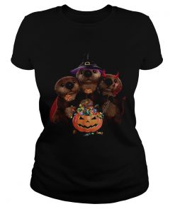 Otter witch and Pumpkin Halloween  Classic Ladies