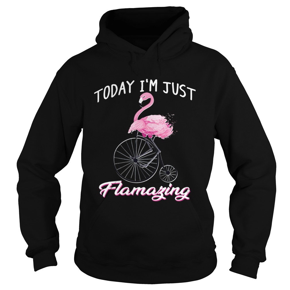 Today Im Just Flamazing Flamingo TShirt Hoodie