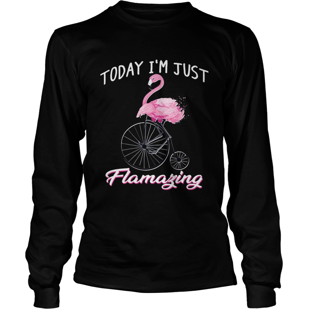 Today Im Just Flamazing Flamingo TShirt LongSleeve