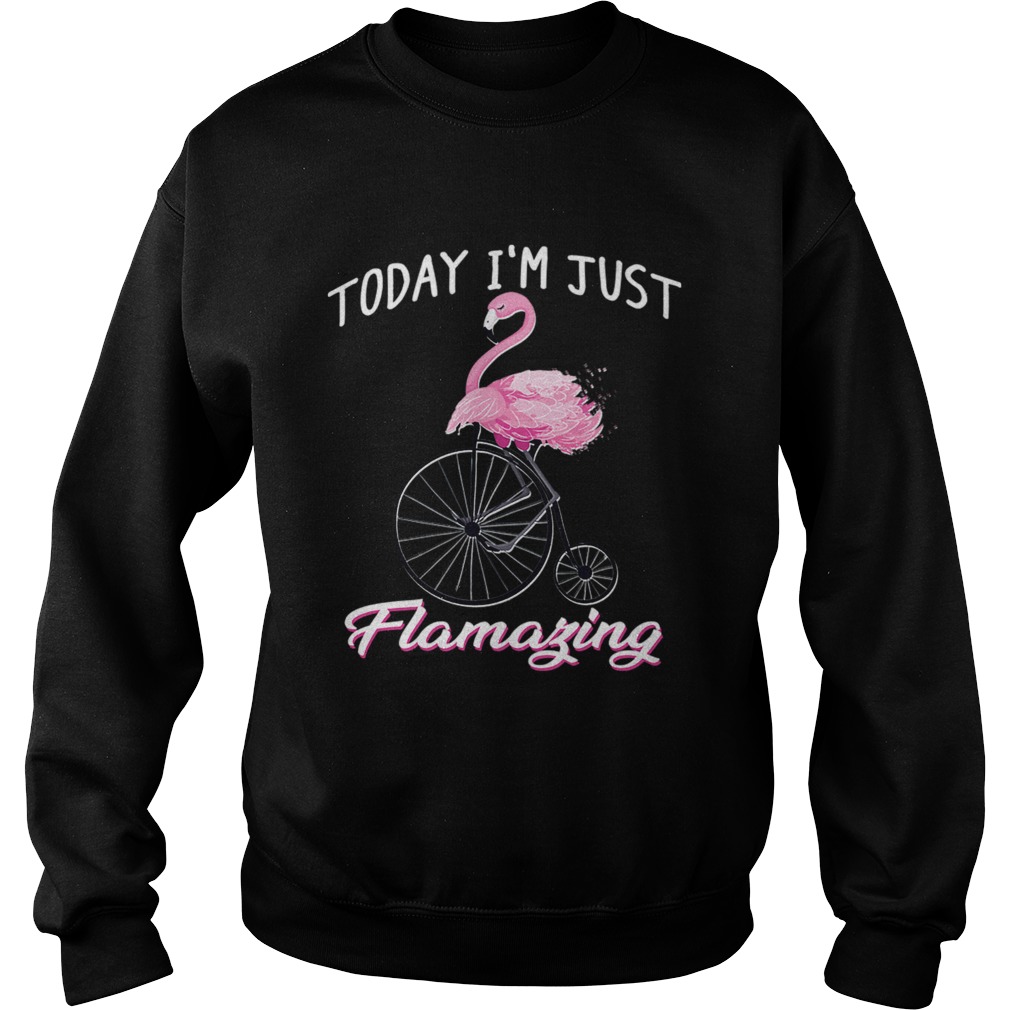 Today Im Just Flamazing Flamingo TShirt Sweatshirt