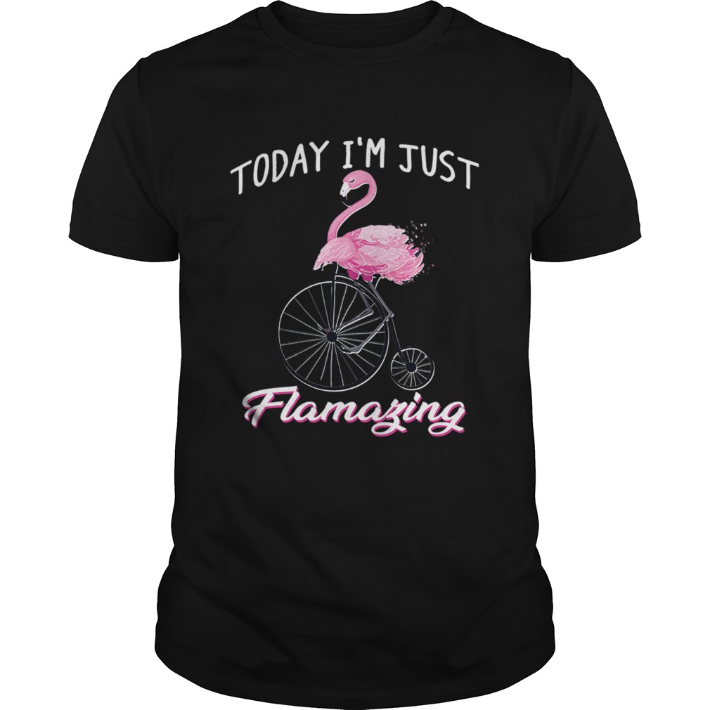 Today Im Just Flamazing Flamingo TShirt