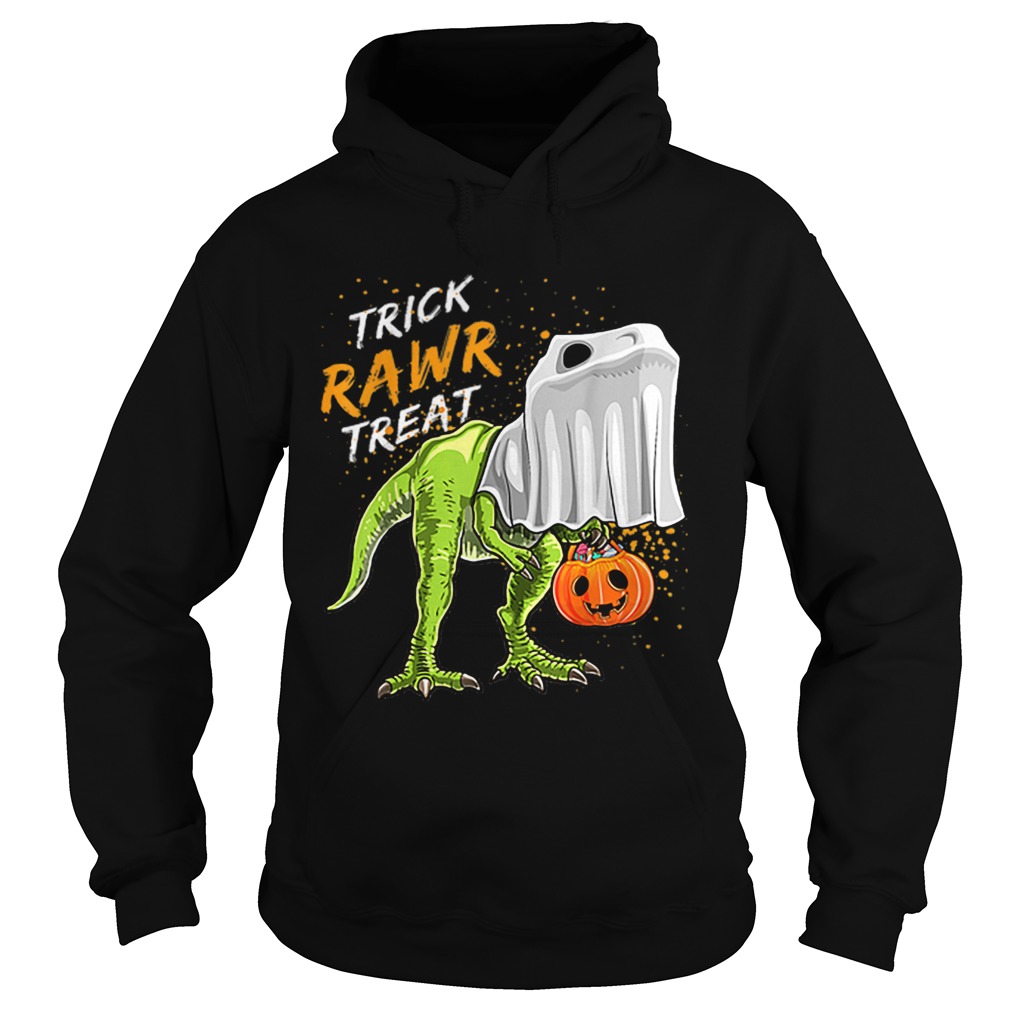 Trick Rawr Treat Halloween T Rex Dinosaur Ghost Boys Hoodie