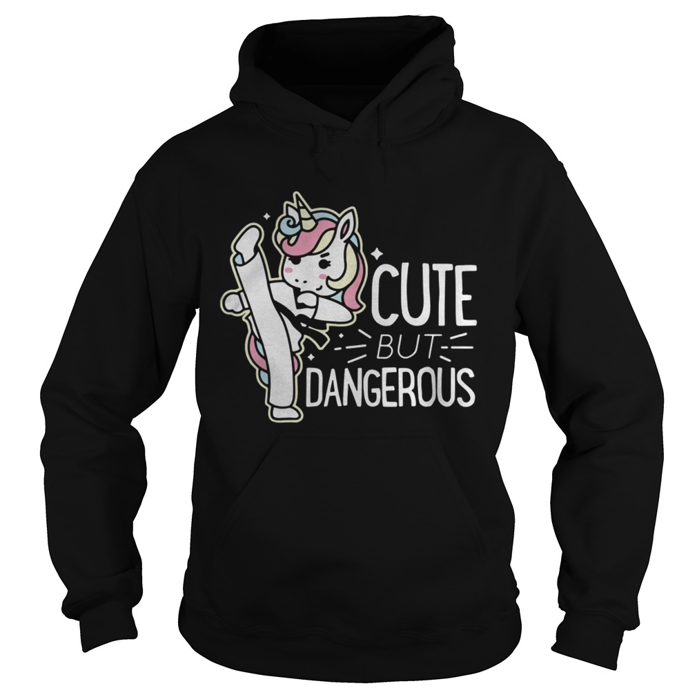 Unicorn cute but dangerous Hoodie