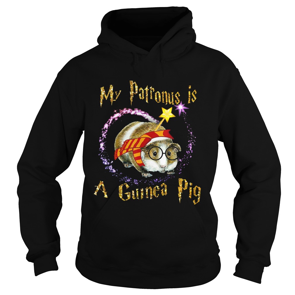 1572854709My Patronus Is A Guinea Pig Hoodie