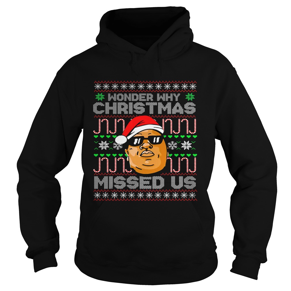 BIG Wonder Why Christmas Missed Us Hoodie