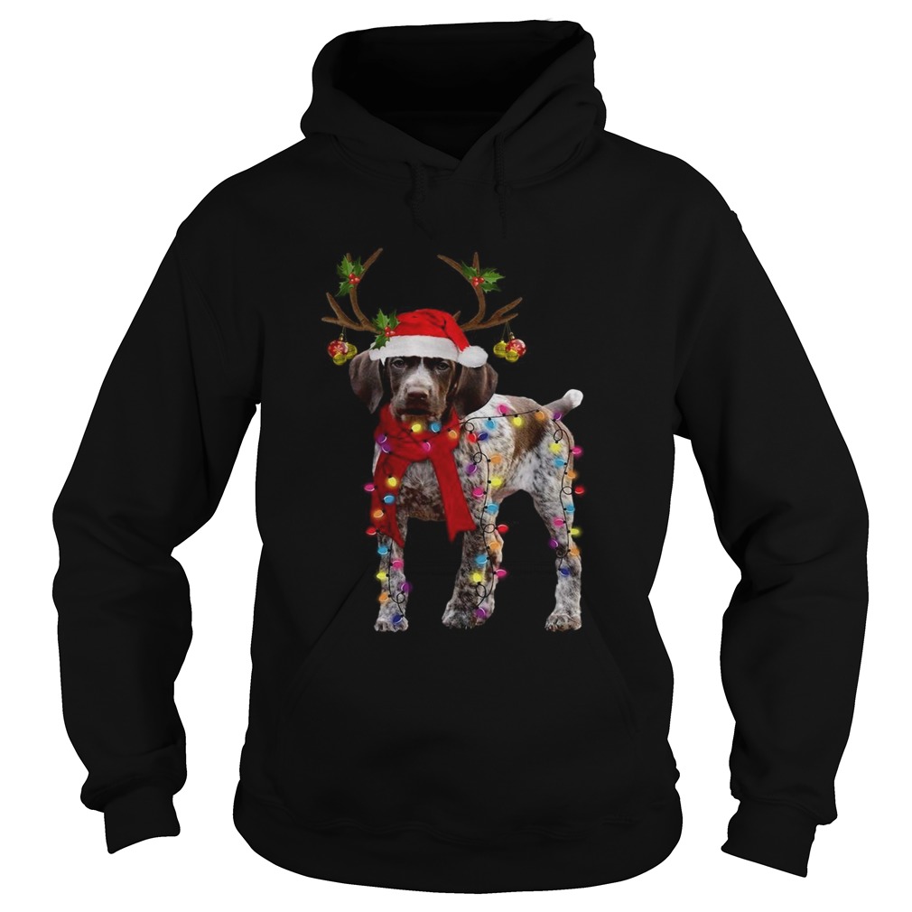 Beagle light Christmas Hoodie