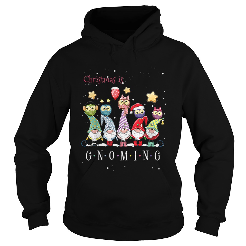 Christmas Is Gnoming Gnome Tomte Merry Christmas Hoodie