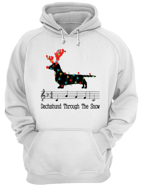 Dachshund Through The Snow Christmas Lights Unisex Hoodie