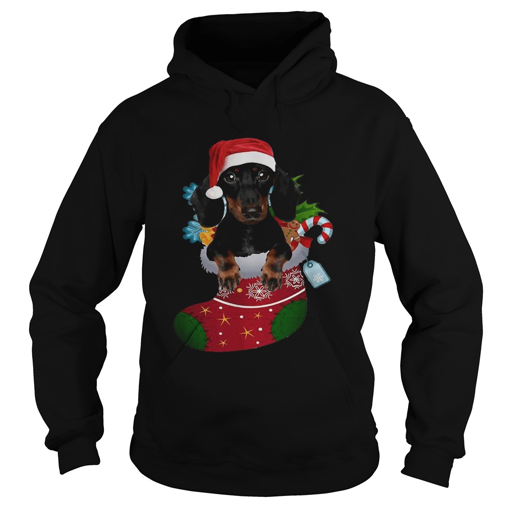 Dachshund in sock Christmas Hoodie