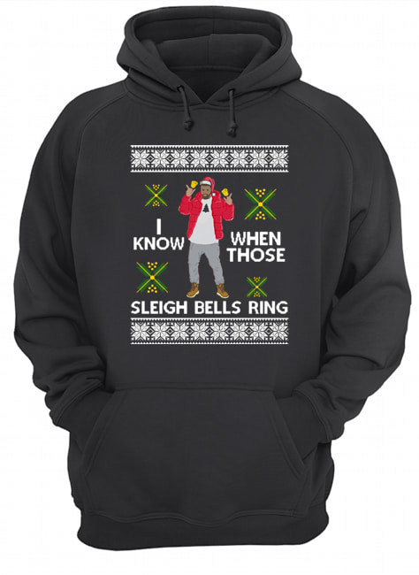 Drake I Know When Those Sleigh Bells Ring ugly christmas Unisex Hoodie