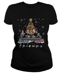 Friends Tv Show Harry Potter christmas tree  Classic Ladies