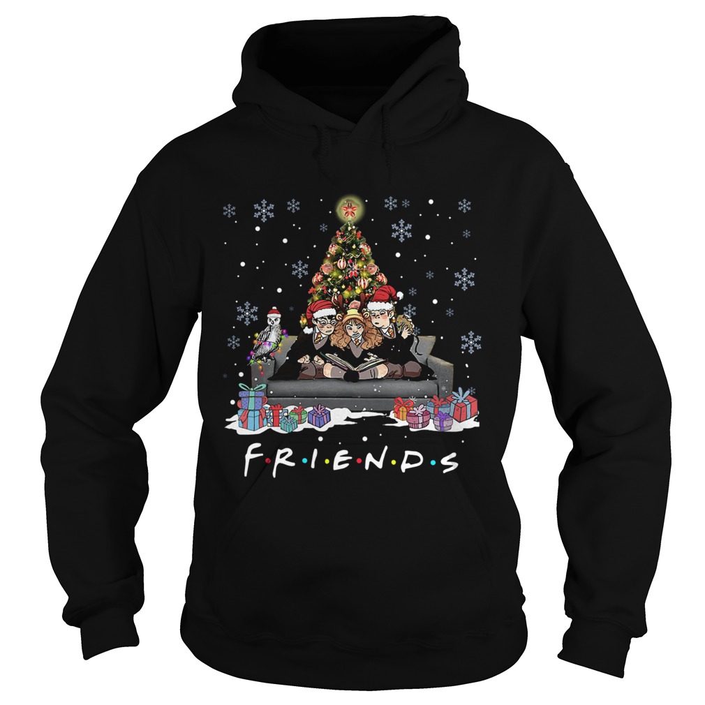 Friends Tv Show Harry Potter christmas tree Hoodie