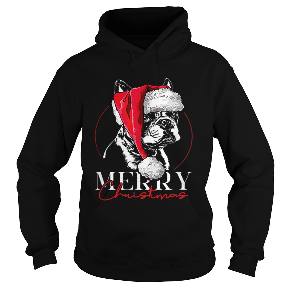 Funny Santa Boston Terrier Merry Christmas dog mom gift Hoodie