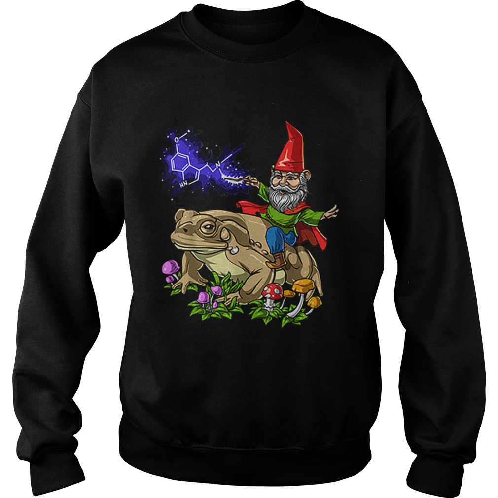 Gnome Riding Bufo Alvarius Toad Chemistry Witch Christmas Sweatshirt