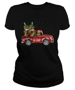 Golden Retriever Christmas Car  Classic Ladies