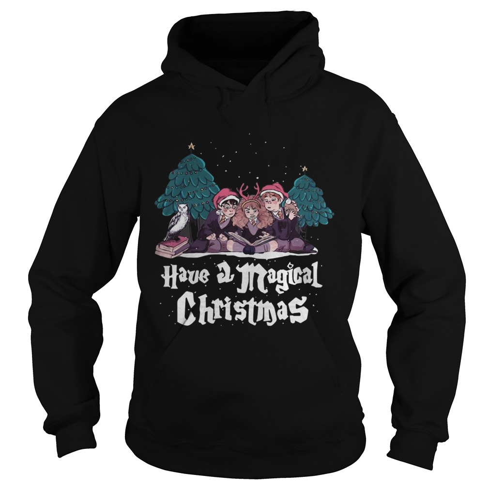 Have a Magical Christmas Harry potter Hoodie