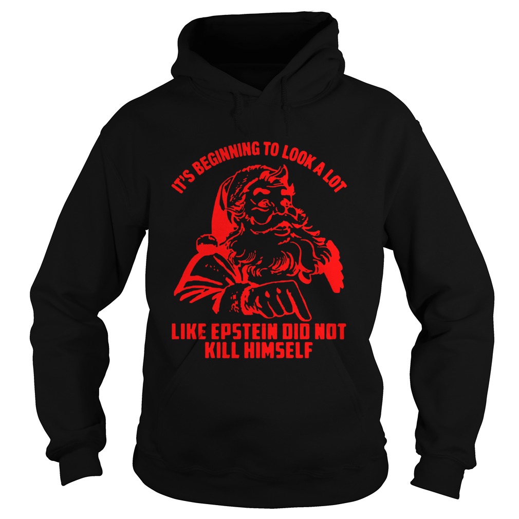 Its Beginning To Look A Lot Like Epstein Didnt Kill Himself Christmas Hoodie