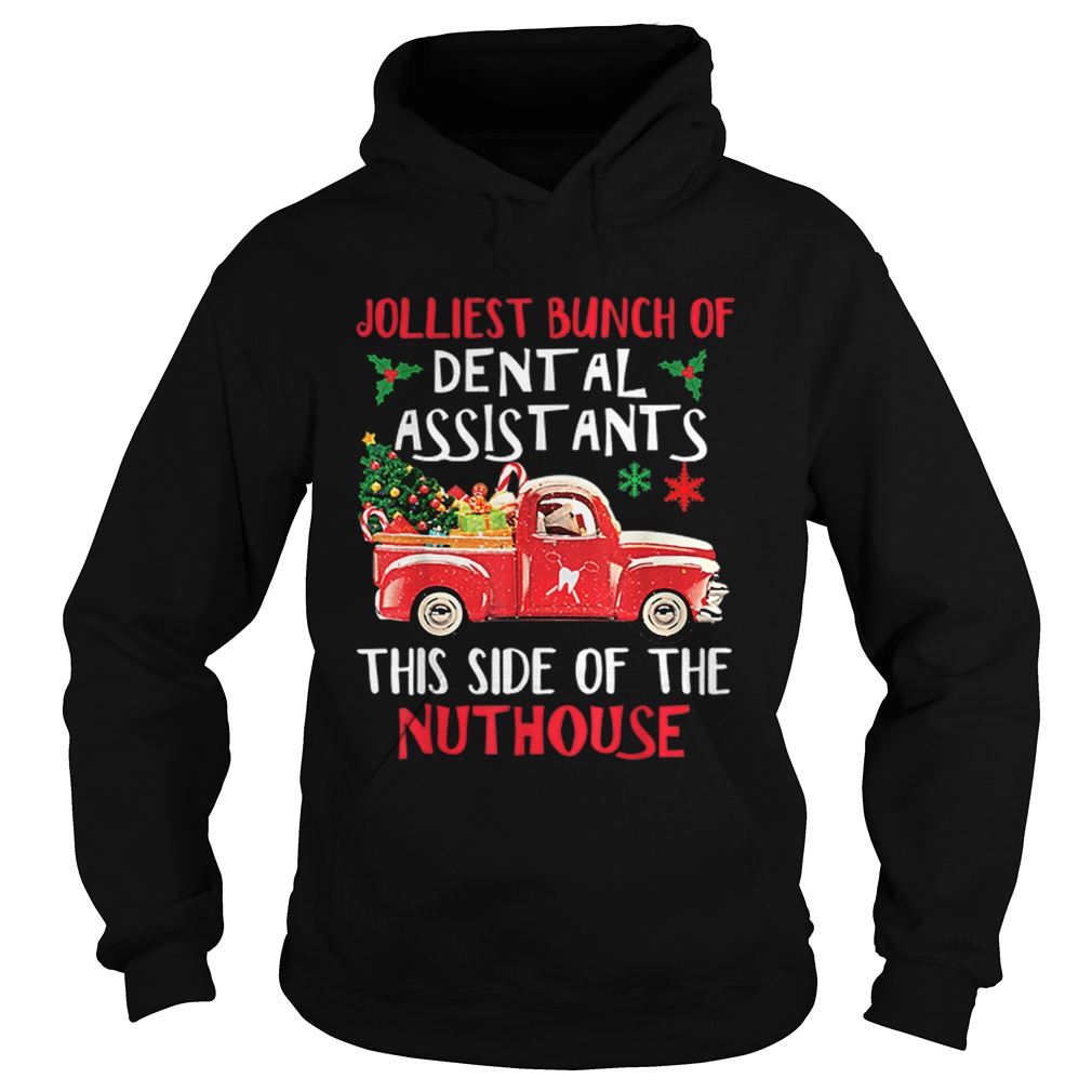 Jolliest Bunch Of Dental Assistants Nuthouse Merry Christmas Hoodie