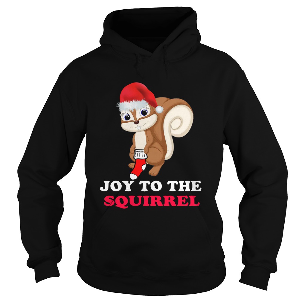 Joy To The Squirrel Christmas Hoodie