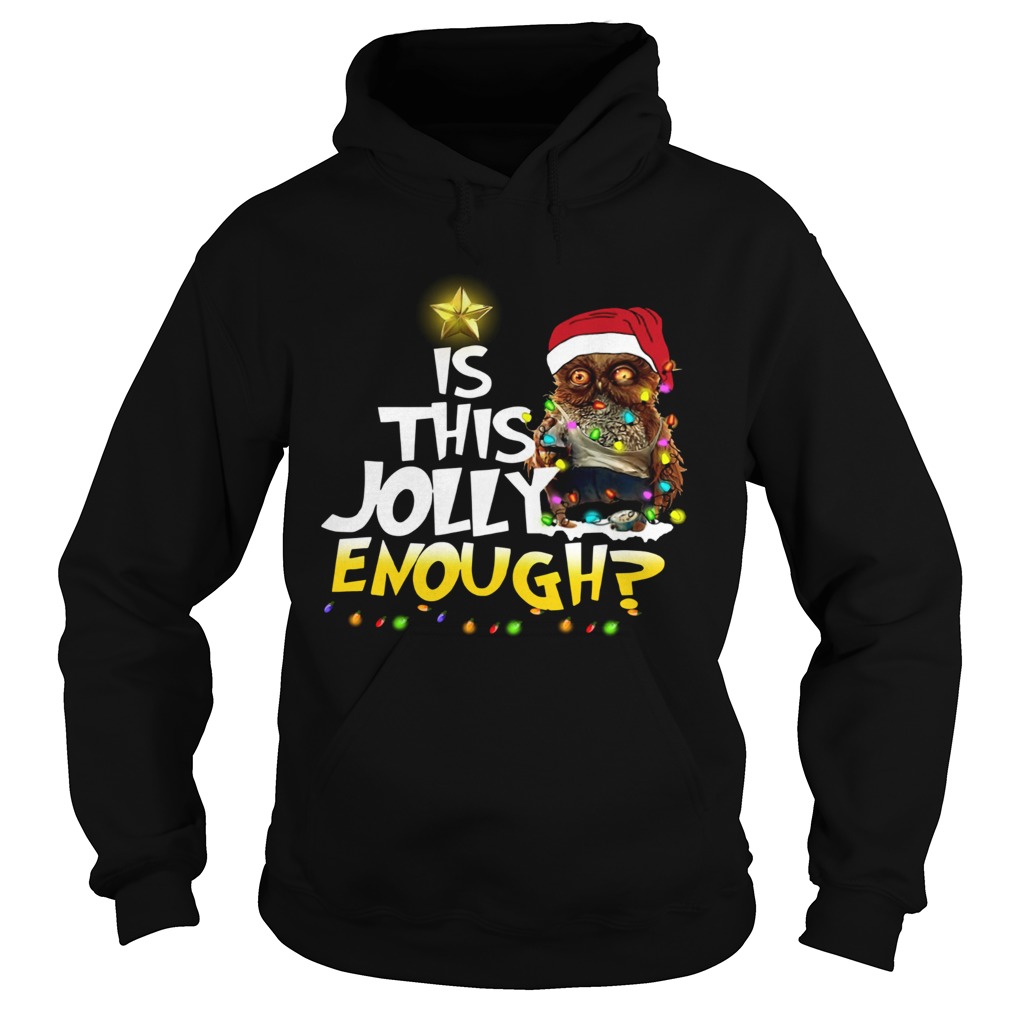 Owl Harry Potter is this Jolly Enough christmas Hoodie