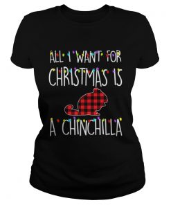 Pretty All I Want For Christmas Is A Chinchilla Animal Xmas Gift  Classic Ladies