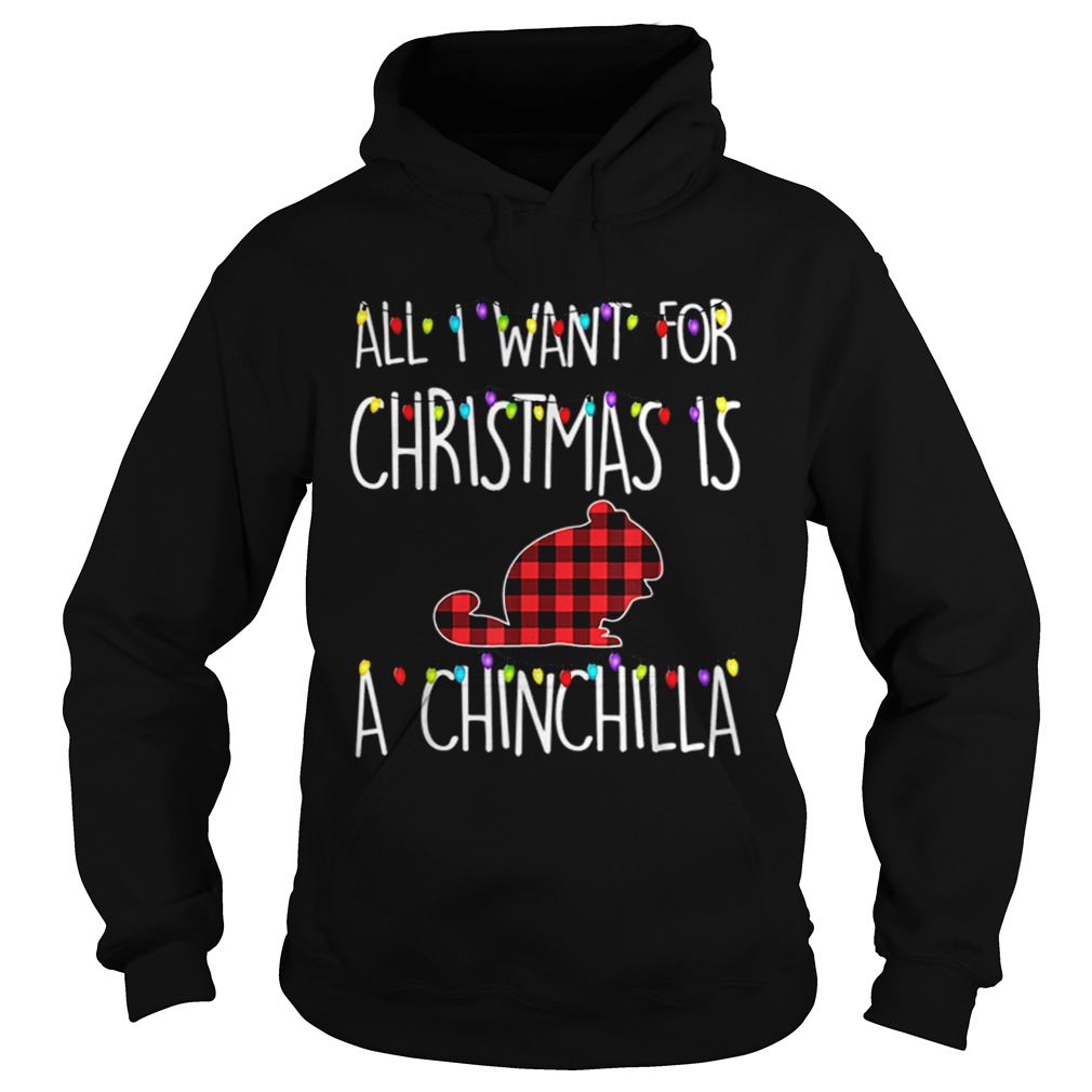 Pretty All I Want For Christmas Is A Chinchilla Animal Xmas Gift Hoodie