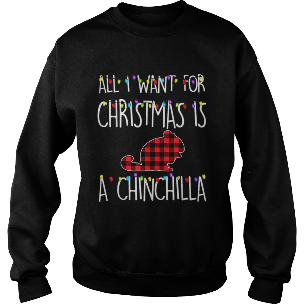 Pretty All I Want For Christmas Is A Chinchilla Animal Xmas Gift Sweatshirt